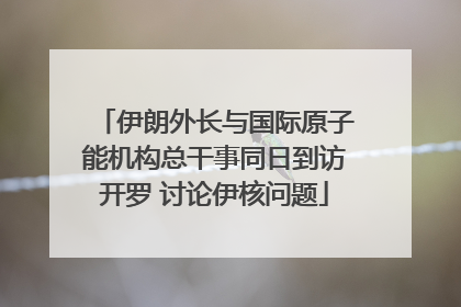 伊朗外长与国际原子能机构总干事同日到访开罗 讨论伊核问题