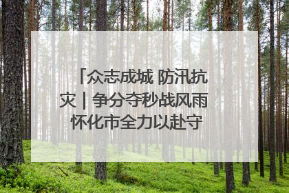 众志成城 防汛抗灾｜争分夺秒战风雨 怀化市全力以赴守护人民群众安全