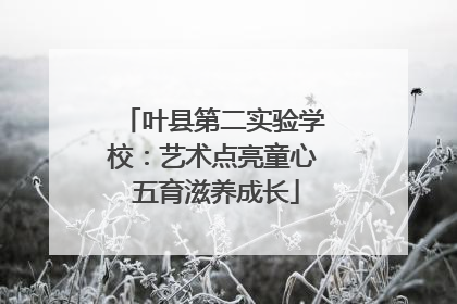 叶县第二实验学校：艺术点亮童心 五育滋养成长