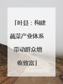 叶县：构建蔬菜产业体系 带动群众增收致富