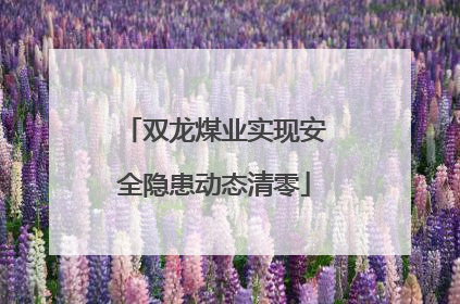双龙煤业实现安全隐患动态清零