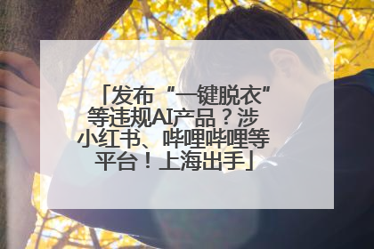 发布“一键脱衣”等违规AI产品？涉小红书、哔哩哔哩等平台！上海出手
