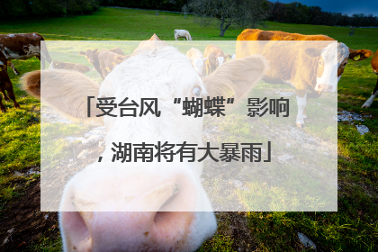 受台风“蝴蝶”影响，湖南将有大暴雨