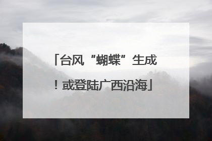 台风“蝴蝶”生成！或登陆广西沿海