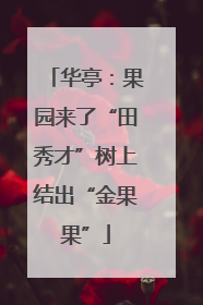 华亭：果园来了“田秀才”树上结出“金果果”