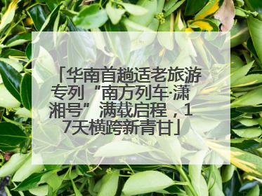 华南首趟适老旅游专列“南方列车·潇湘号”满载启程，17天横跨新青甘