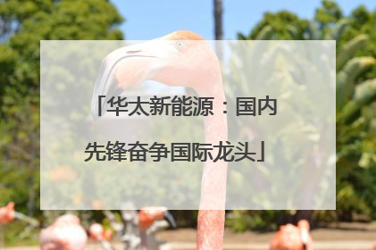 华太新能源：国内先锋奋争国际龙头