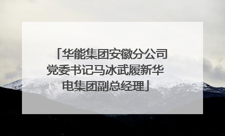 华能集团安徽分公司党委书记马冰武履新华电集团副总经理