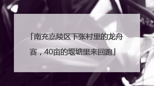 南充嘉陵区下张村里的龙舟赛，40亩的堰塘里来回跑
