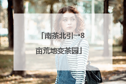 南茶北引→8亩荒地变茶园