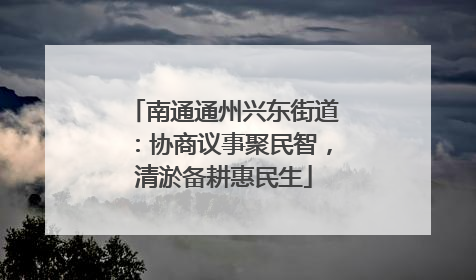 南通通州兴东街道：协商议事聚民智，清淤备耕惠民生