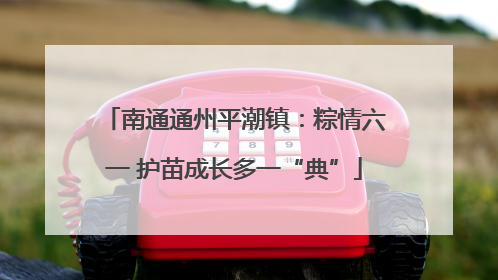 南通通州平潮镇：粽情六一 护苗成长多一“典”