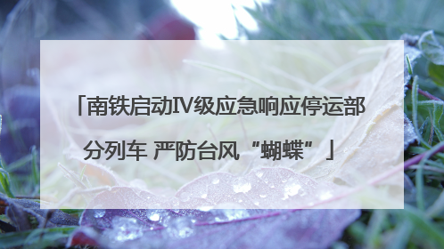 南铁启动Ⅳ级应急响应停运部分列车 严防台风“蝴蝶”