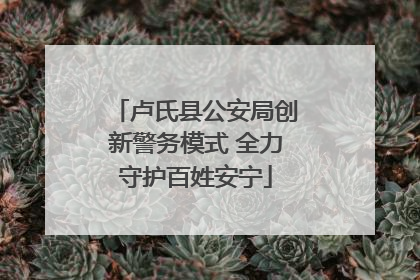 卢氏县公安局创新警务模式 全力守护百姓安宁