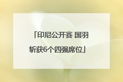 印尼公开赛 国羽斩获6个四强席位