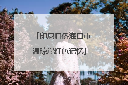 印尼归侨海口重温琼崖红色记忆
