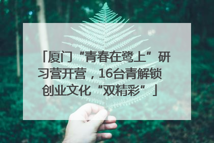 厦门“青春在鹭上”研习营开营，16台青解锁创业文化“双精彩”