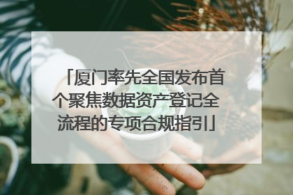 厦门率先全国发布首个聚焦数据资产登记全流程的专项合规指引