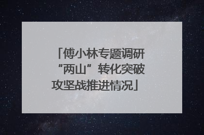 傅小林专题调研“两山”转化突破攻坚战推进情况