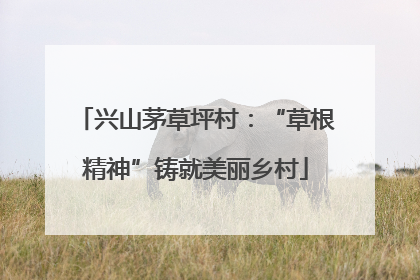 兴山茅草坪村：“草根精神”铸就美丽乡村