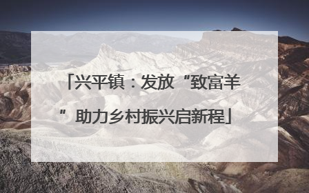 兴平镇：发放“致富羊”助力乡村振兴启新程