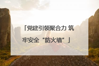 党建引领聚合力 筑牢安全“防火墙”