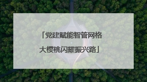 党建赋能智管网格 大樱桃闪耀振兴路