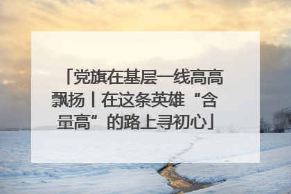 党旗在基层一线高高飘扬丨在这条英雄“含量高”的路上寻初心