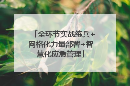 全环节实战练兵+网格化力量部署+智慧化应急管理