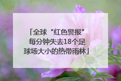 全球“红色警报”  每分钟失去18个足球场大小的热带雨林