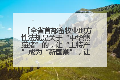全省首部畜牧业地方性法规是关于“中华熊猫猪”的，让“土特产”成为“新国潮”，让“农产品”升格为“城市IP”
