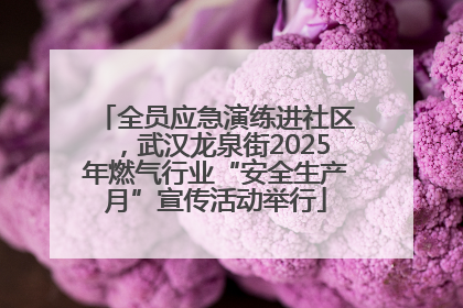 全员应急演练进社区，武汉龙泉街2025年燃气行业“安全生产月”宣传活动举行