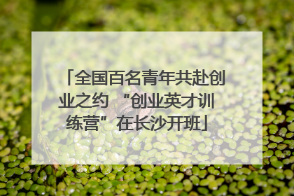 全国百名青年共赴创业之约 “创业英才训练营”在长沙开班