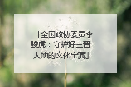 全国政协委员李骏虎：守护好三晋大地的文化宝藏