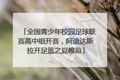 全国青少年校园足球联赛高中组开赛，阿迪达斯拉开足篮之夏帷幕