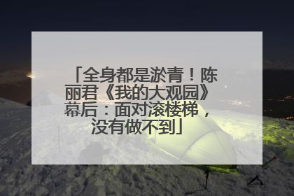 全身都是淤青！陈丽君《我的大观园》幕后：面对滚楼梯，没有做不到