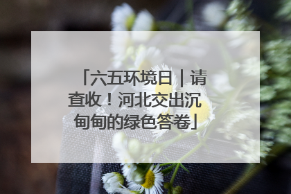 六五环境日｜请查收！河北交出沉甸甸的绿色答卷