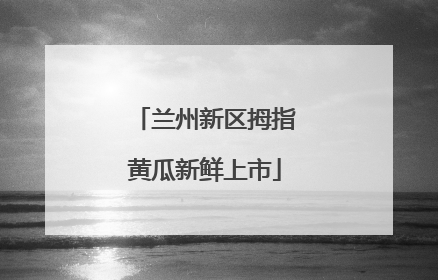 兰州新区拇指黄瓜新鲜上市