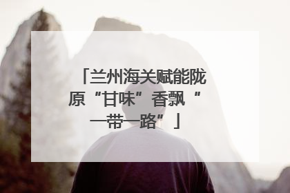 兰州海关赋能陇原“甘味”香飘“一带一路”