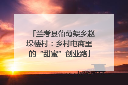 兰考县葡萄架乡赵垛楼村：乡村电商里的“甜蜜”创业路
