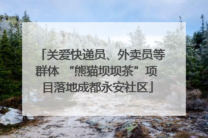 关爱快递员、外卖员等群体 “熊猫坝坝茶”项目落地成都永安社区
