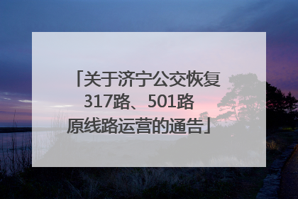 关于济宁公交恢复317路、501路原线路运营的通告