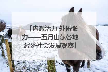内激活力 外拓张力——五月山东各地经济社会发展观察