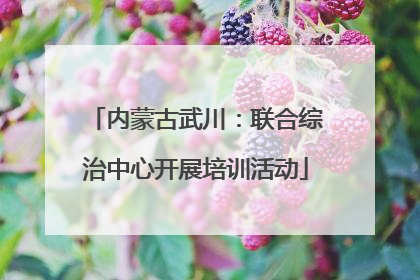 内蒙古武川：联合综治中心开展培训活动