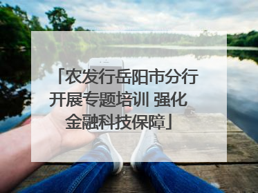 农发行岳阳市分行开展专题培训 强化金融科技保障