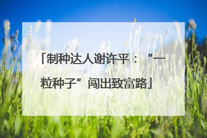 制种达人谢许平：“一粒种子”闯出致富路