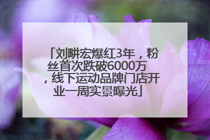 刘畊宏爆红3年，粉丝首次跌破6000万，线下运动品牌门店开业一周实景曝光