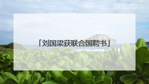 刘国梁获联合国聘书
