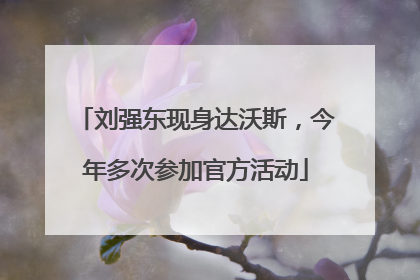 刘强东现身达沃斯，今年多次参加官方活动