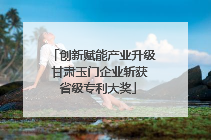 创新赋能产业升级 甘肃玉门企业斩获省级专利大奖